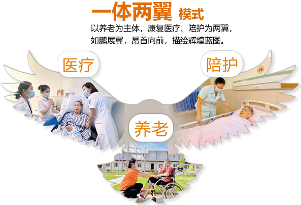 关于安护康